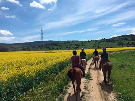 Horse riding Sotogrande